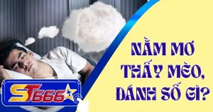 mo-thay-meo