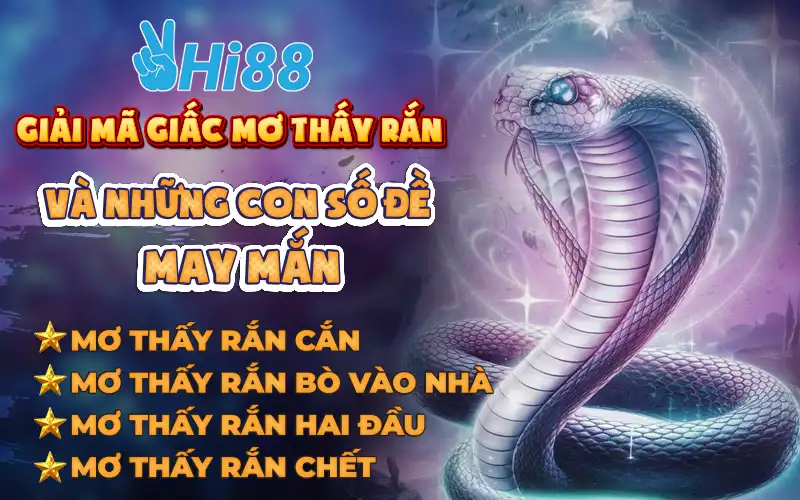 giai-ma-giac-mo-thay-ran